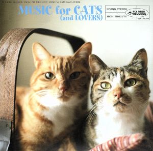 猫と音楽の蜜月