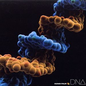 DNA(DVD付)