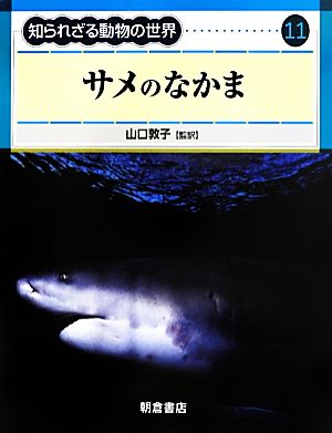 サメのなかま知られざる動物の世界11