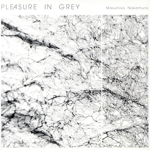 PLEASURE IN GREY