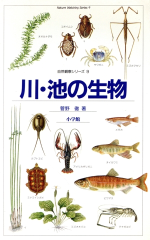 川・池の生物 水の生物Ⅱ 自然観察と生態シリーズ9