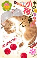 【廉価版】デラックスねこぱんち キジトラ猫の小梅さん('13) にゃんCOMI