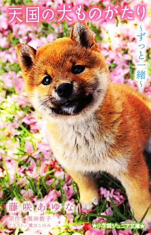 天国の犬ものがたり ずっと一緒小学館ジュニア文庫