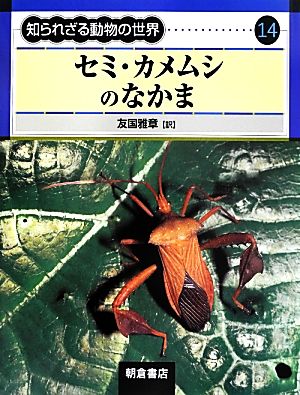 セミ・カメムシのなかま 知られざる動物の世界14