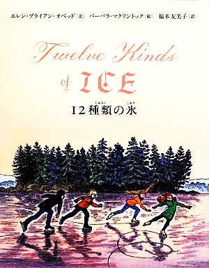 12種類の氷