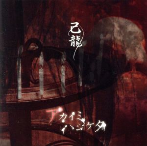 アカイミハジケタ(初回限定盤B)(DVD付)