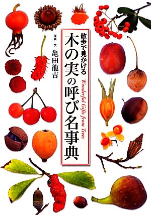 散歩で見かける木の実の呼び名事典