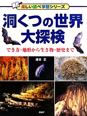 洞くつの世界大探検 でき方・地形から生き物・歴史まで 楽しい調べ学習シリーズ