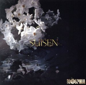 SUISEN(Aタイプ)(DVD付)