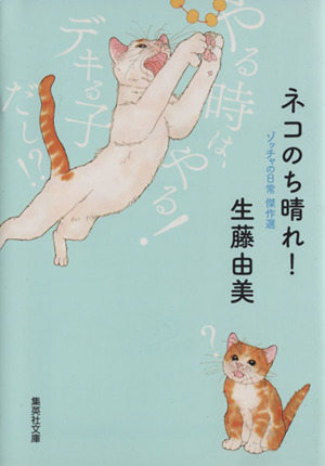 ネコのち晴れ！ ゾッチャの日常傑作選 集英社C文庫