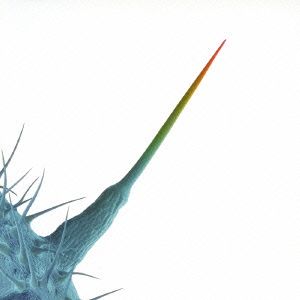 ピーター・ガブリエル アンド・アイル・スクラッチ・ユアーズ