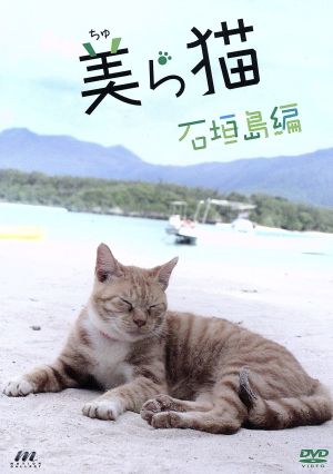 美ら猫 石垣島編