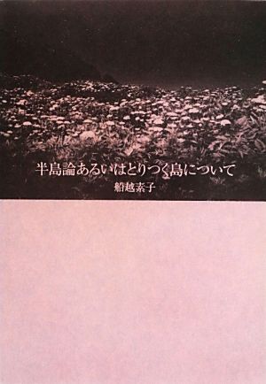 半島論あるいはとりつく島について