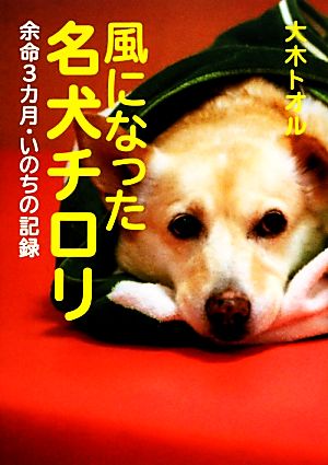 風になった名犬チロリ 余命3カ月・いのちの記録 ノンフィクション・生きるチカラ16