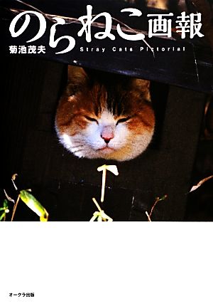 のらねこ画報