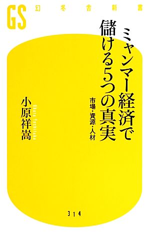 ミャンマー経済で儲ける5つの真実 市場・資源・人材 幻冬舎新書