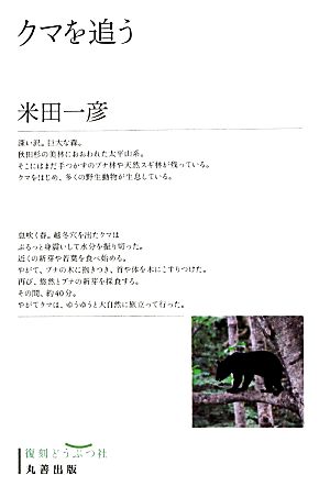 クマを追う