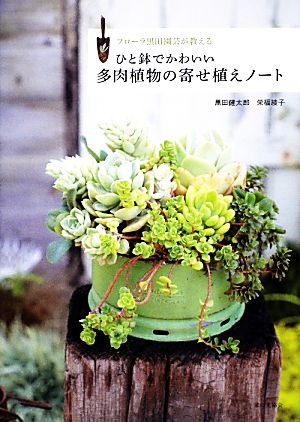 ひと鉢でかわいい多肉植物の寄せ植えノート