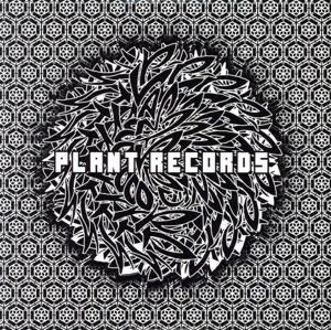 PLANT RECORDS V.A.BLACK