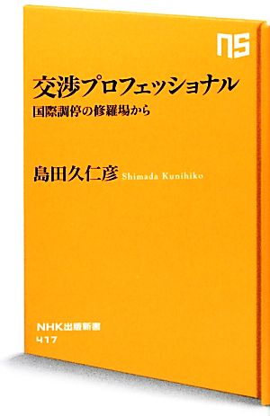 交渉プロフェッショナル 国際調停の修羅場から NHK出版新書