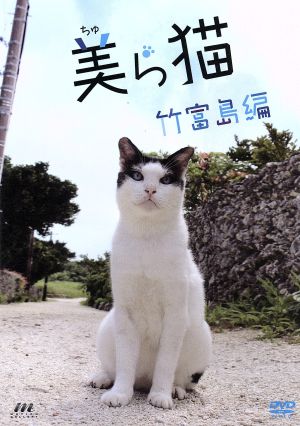 美ら猫 竹富島編