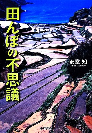 田んぼの不思議 自然と生きる