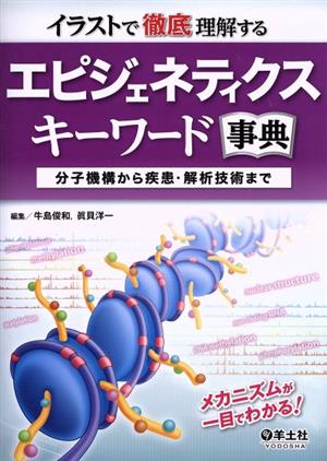 イラストで徹底理解する エピジェネティクスキーワード事典 分子機構から疾患・解析技術まで