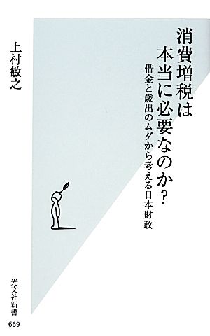 消費増税は本当に必要なのか？ 借金と歳出のムダから考える日本財政 光文社新書