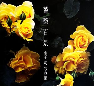 薔薇百景 金子彰写真集