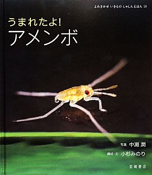 うまれたよ！アメンボ よみきかせいきものしゃしんえほん18