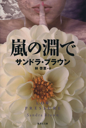 嵐の淵で 集英社文庫