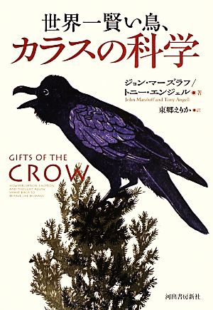 世界一賢い鳥、カラスの科学