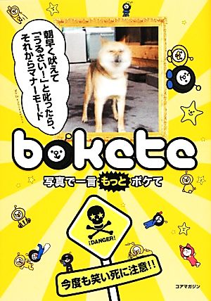 bokete 写真で一言もっとボケて