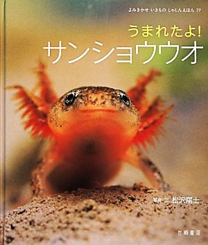 うまれたよ！サンショウウオ よみきかせいきものしゃしんえほん19