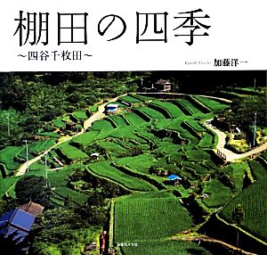 棚田の四季 四谷千枚田