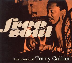 FREE SOUL the classic of TERRY CALLIER