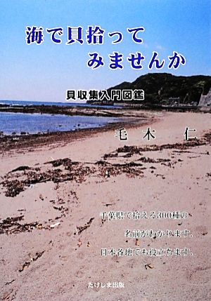 海で貝拾ってみませんか 貝収集入門図鑑