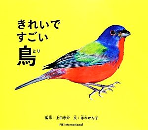 きれいですごい鳥 生きものびっくりシリーズ