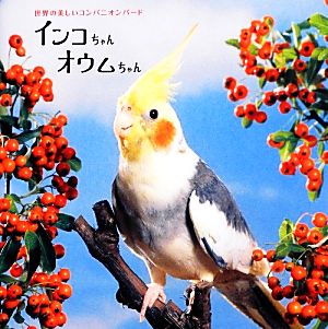 インコちゃんオウムちゃん 世界の美しいコンパニオンバード