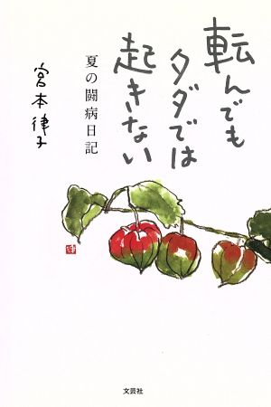 転んでもタダでは起きない 夏の闘病日記