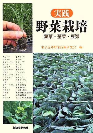 実践野菜栽培 葉菜・茎菜・豆類