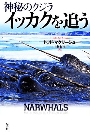 神秘のクジラ イッカクを追う