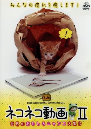 ネコネコ動画 Ⅱ～世界のおもしろニャンコ大集合～