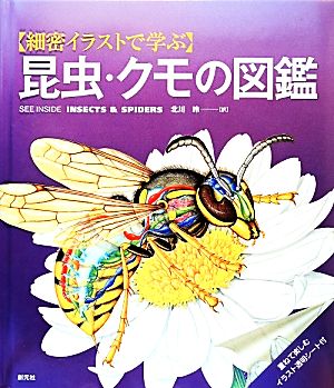 細密イラストで学ぶ昆虫・クモの図鑑