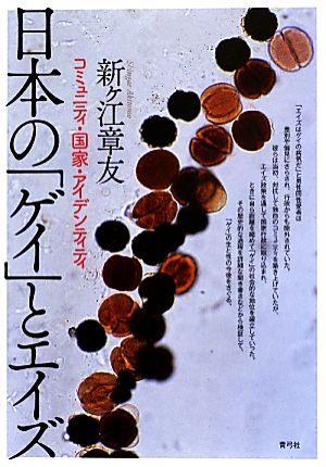 日本の「ゲイ」とエイズ コミュニティ・国家・アイデンティティ