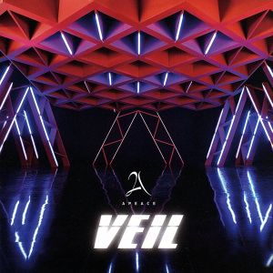 VEIL(初回限定盤)(DVD付)