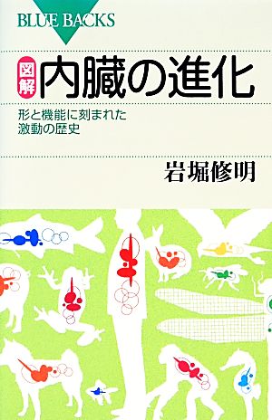 図解 内臓の進化 形と機能に刻まれた激動の歴史 ブルーバックス