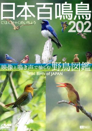 日本百鳴鳥 202 映像と鳴き声で愉しむ野鳥図鑑