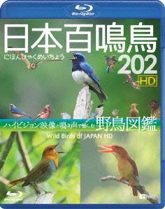 日本百鳴鳥 202 HDハイビジョン映像と鳴き声で愉しむ野鳥図鑑(Blu-ray Disc)