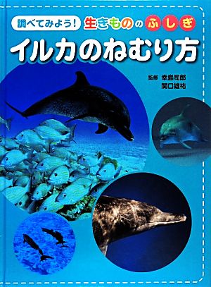 調べてみよう！生きもののふしぎ イルカのねむり方